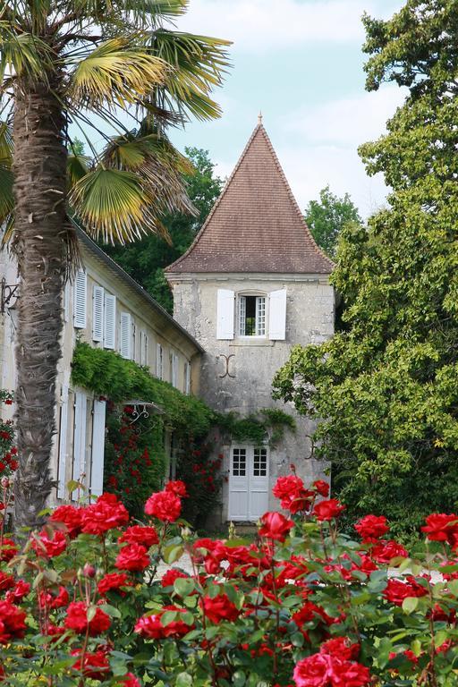 Bed and Breakfast Chateau De Puyrigaud Léoville Exterior foto